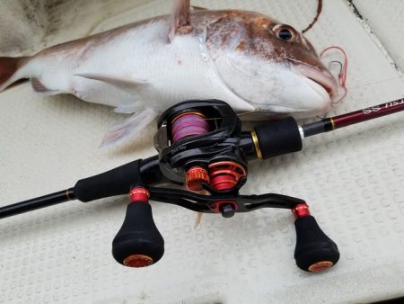 遊漁船 ニライカナイ 釣果