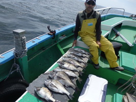 久里浜黒川本家 釣果
