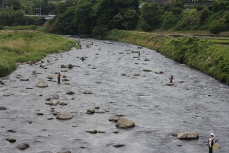 狩野川(狩野川漁業協同組合) 釣果