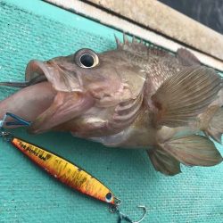 広進丸 釣果