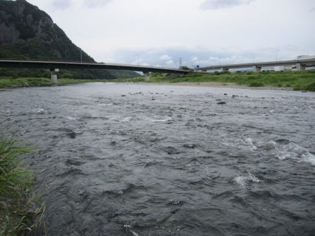狩野川(狩野川漁業協同組合) 釣果