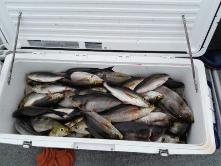 第二大福丸 釣果