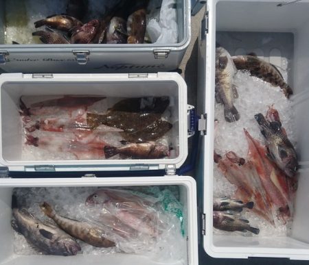 気仙沼　つり丸 釣果