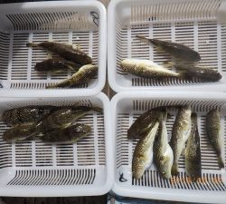 石川丸 釣果