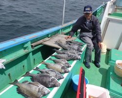 久里浜黒川本家 釣果