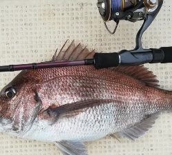 IDATEN(イダテン) 釣果