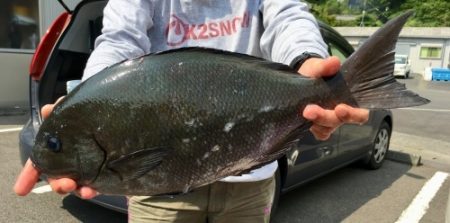 鵜来島家本渡船 釣果