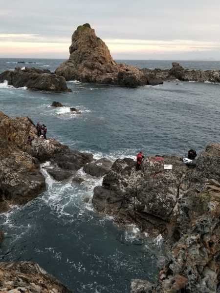 鵜来島家本渡船 釣果