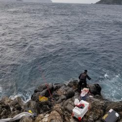 鵜来島家本渡船 釣果