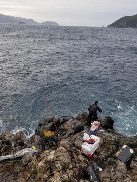 鵜来島家本渡船 釣果