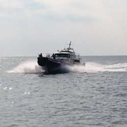 鵜来島家本渡船 釣果