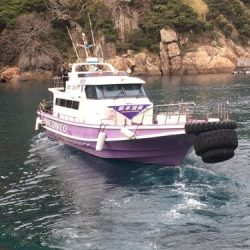 鵜来島家本渡船 釣果