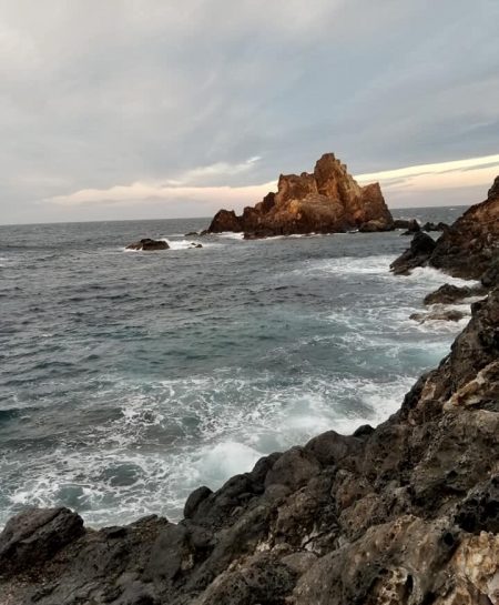 鵜来島家本渡船 釣果