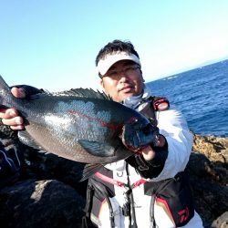 鵜来島家本渡船 釣果