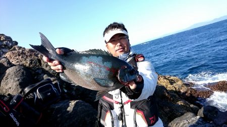 鵜来島家本渡船 釣果