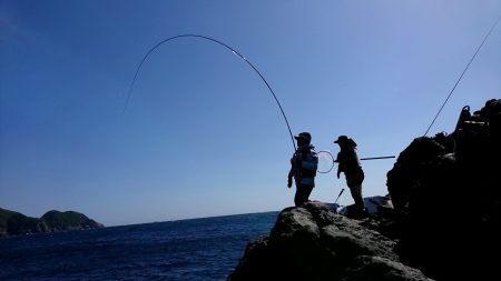 鵜来島家本渡船 釣果