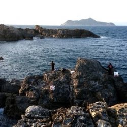 鵜来島家本渡船 釣果