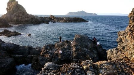 鵜来島家本渡船 釣果