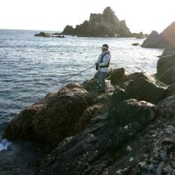 鵜来島家本渡船 釣果