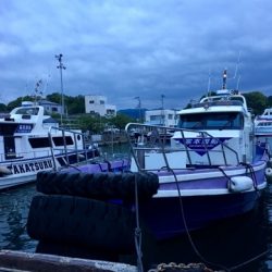 鵜来島家本渡船 釣果