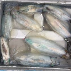 まると屋 釣果
