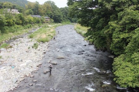 狩野川(狩野川漁業協同組合) 釣果