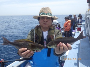 石川丸 釣果