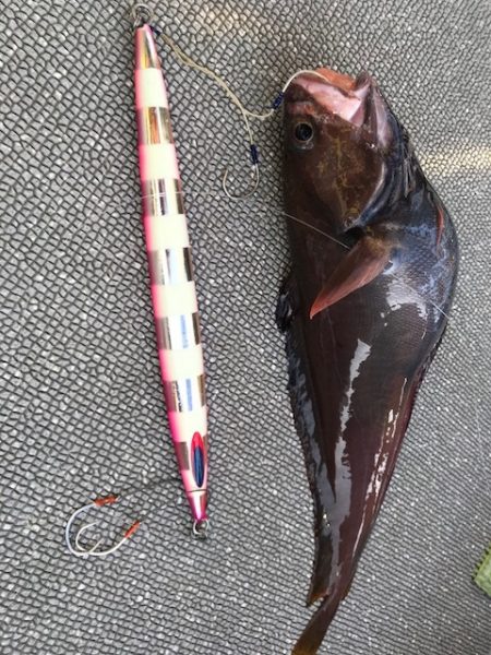 へいみつ丸 釣果