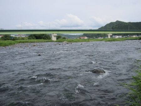 狩野川（狩野川漁業協同組合） 釣果