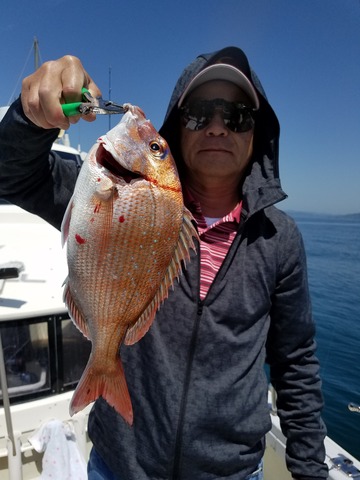 遊漁船　ニライカナイ 釣果