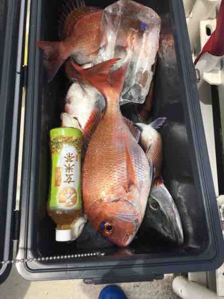 龍宮丸 釣果