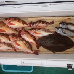 第二むつ漁丸 釣果