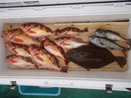 第二むつ漁丸 釣果