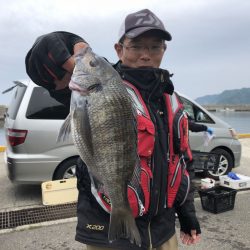 由良渡船 釣果