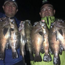 TOPGUN名古屋 釣果