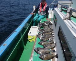 久里浜黒川本家 釣果
