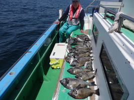 久里浜黒川本家 釣果
