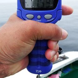 第三むつりょう丸 釣果