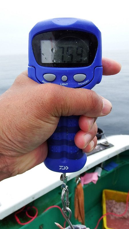 第三むつりょう丸 釣果