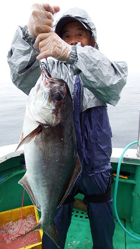 第三むつりょう丸 釣果