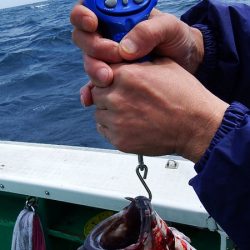 第三むつりょう丸 釣果