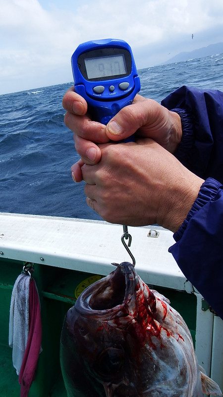 第三むつりょう丸 釣果