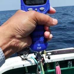 第三むつりょう丸 釣果