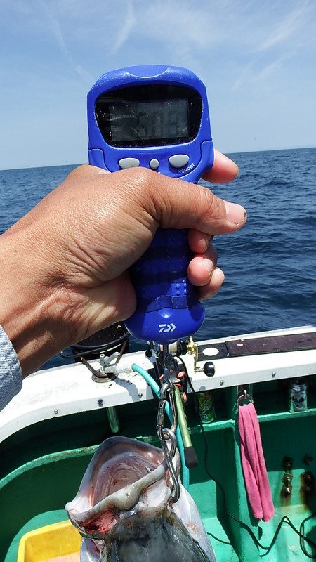第三むつりょう丸 釣果