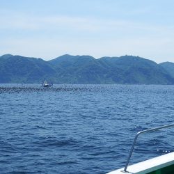 第三むつりょう丸 釣果