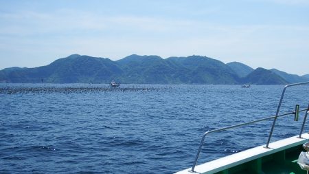 第三むつりょう丸 釣果