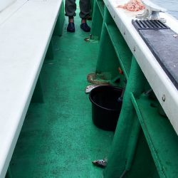 第三むつりょう丸 釣果