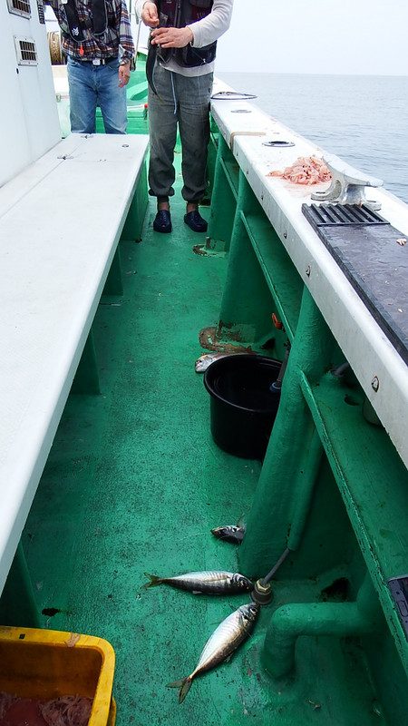 第三むつりょう丸 釣果