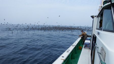 第三むつりょう丸 釣果