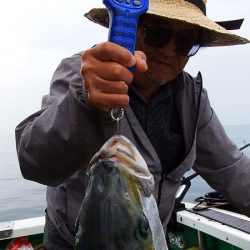 第三むつりょう丸 釣果